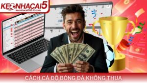 Cách cá độ bóng đá không thua