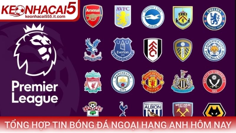 Tình hình chuyển nhượng mới nhất