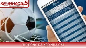 Tip bóng đá kèo nhà cái và bí quyết đầu tư hiệu quả