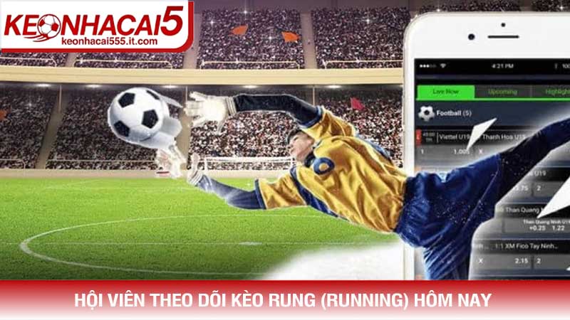 Hội viên theo dõi Kèo rung (Running) hôm nay