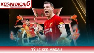 Tỷ lệ kèo Macau và phương pháp chinh phục đỉnh cao