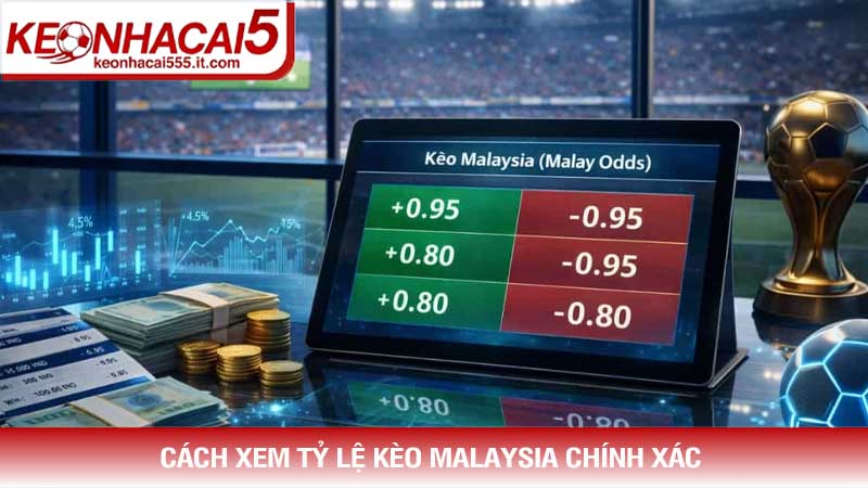 Cách xem Tỷ lệ kèo Malaysia chính xác 2026